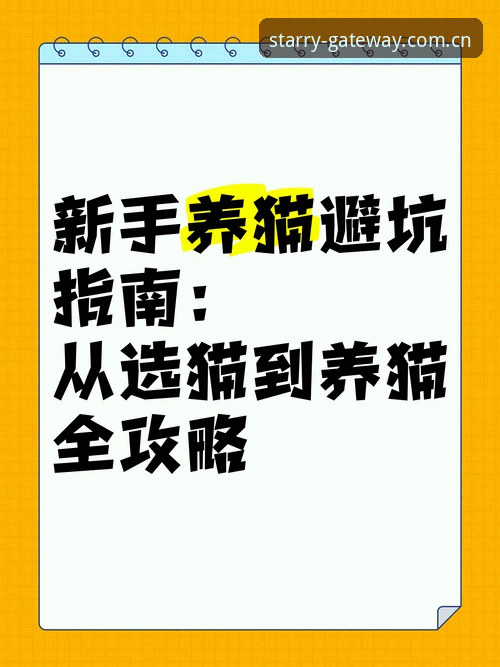 探索视野新维度赛事替代方案怎么样 星空娱乐平台赛事替代方案避坑指南:从数据焦虑到安心参赛的完整路径