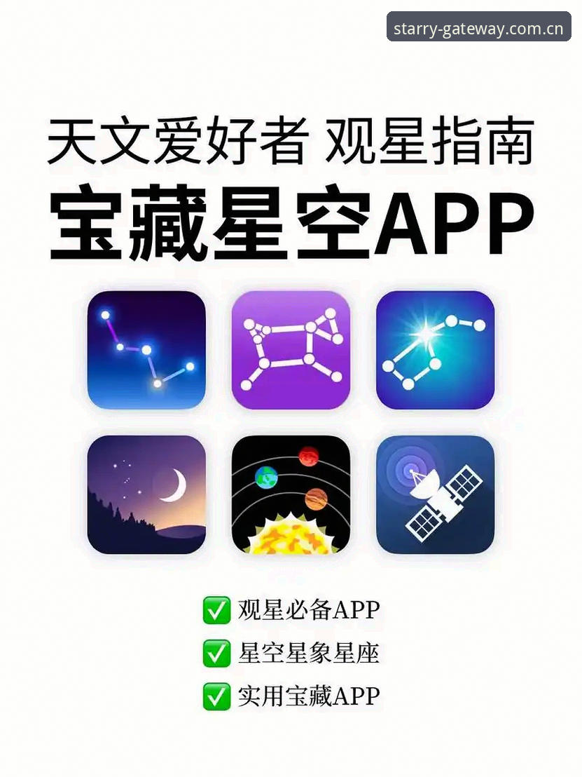星空入口APP官方下载指南：探访用户周敏的决策现场